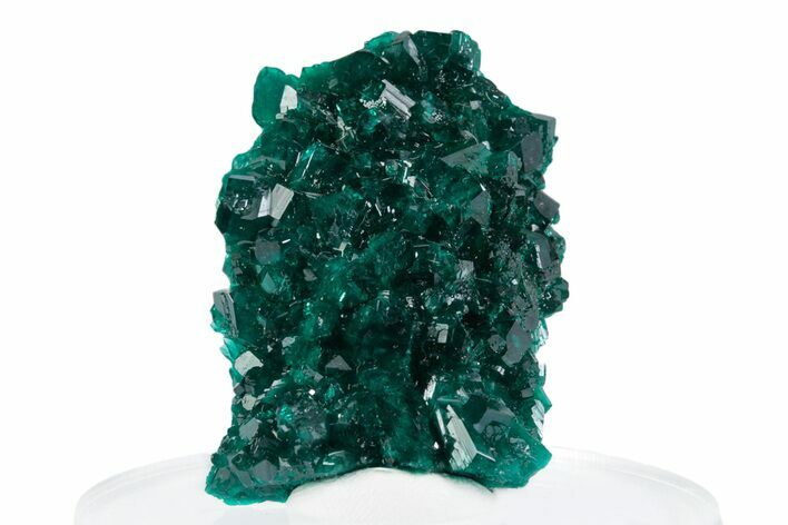 Lustrous Dioptase Crystal Cluster - N'tola Mine, Congo #379990
